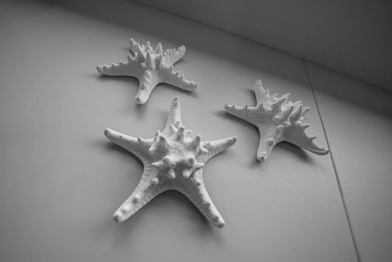 Semi-custom Yacht Photos Pics 