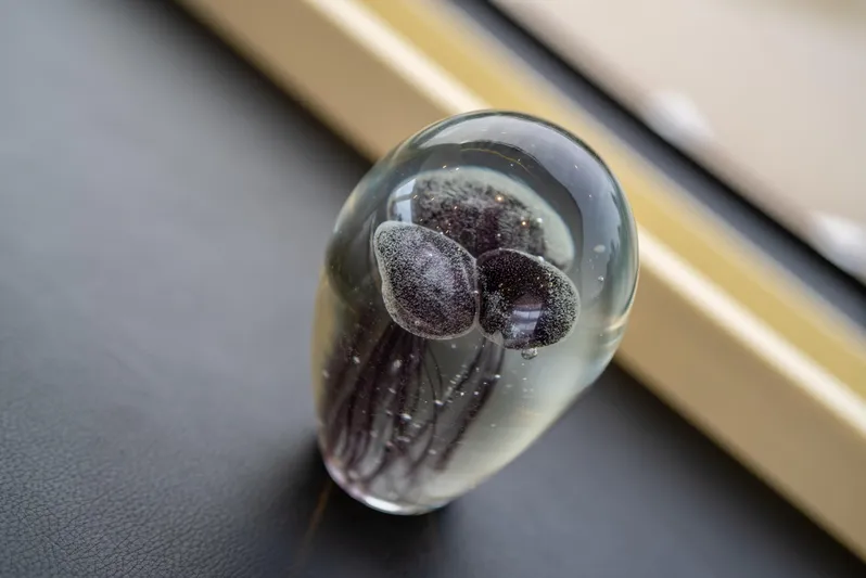 Semi-custom Yacht Photos Pics 