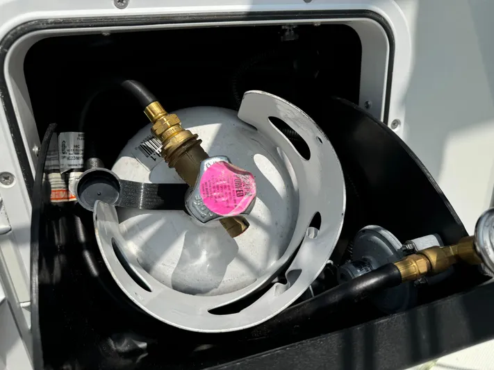 Rebel Yacht Photos Pics 