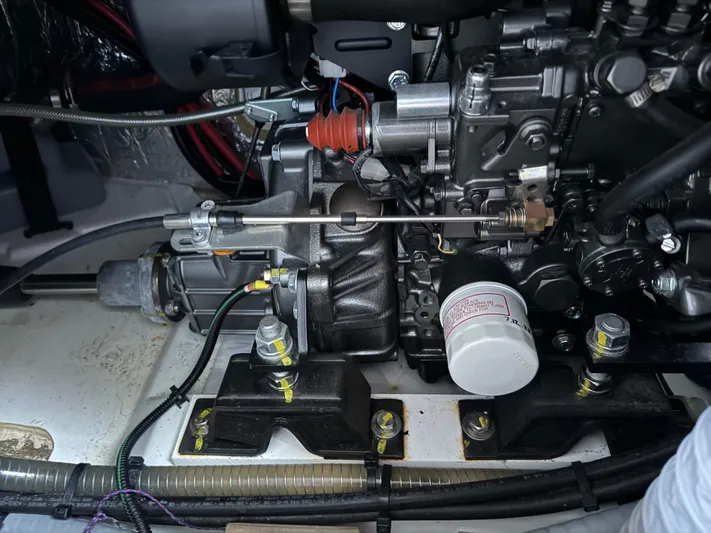 Rebel Yacht Photos Pics 