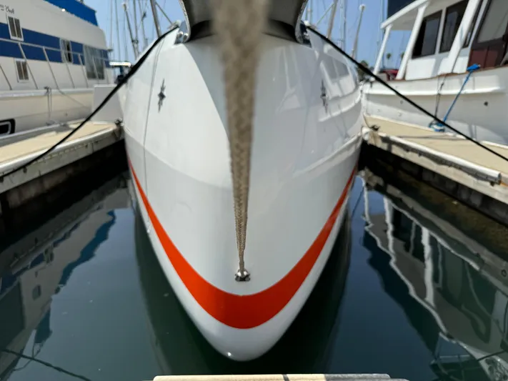 Rebel Yacht Photos Pics 