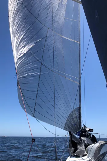 Rebel Yacht Photos Pics 