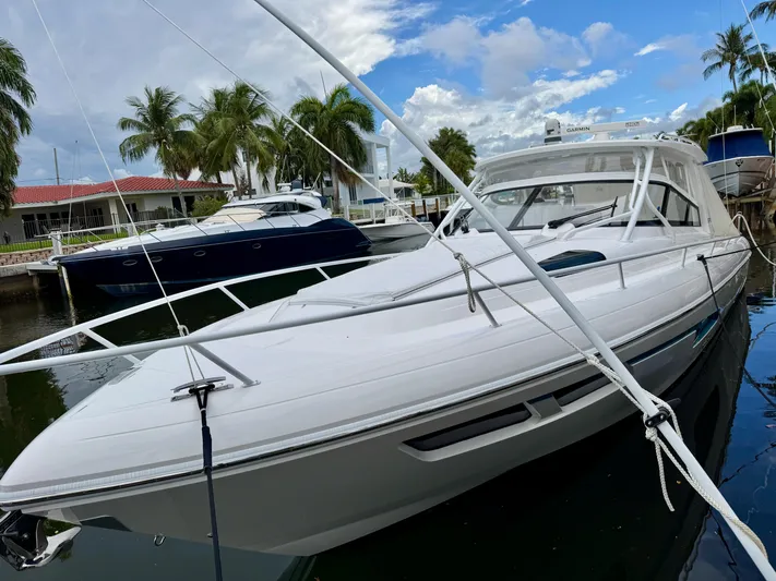  Yacht Photos Pics 2023 Intrepid 438 Evolution yacht docked near palm trees and waterfront homes.