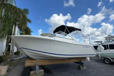 Cobia 220 DC