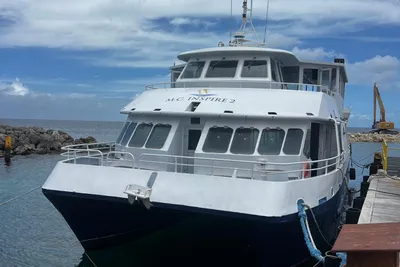 Custom Pech Alu Power Catamaran