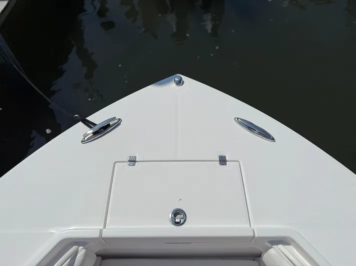 Tiger Yacht Photos Pics 