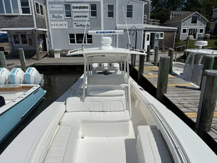 Tiger Yacht Photos Pics 