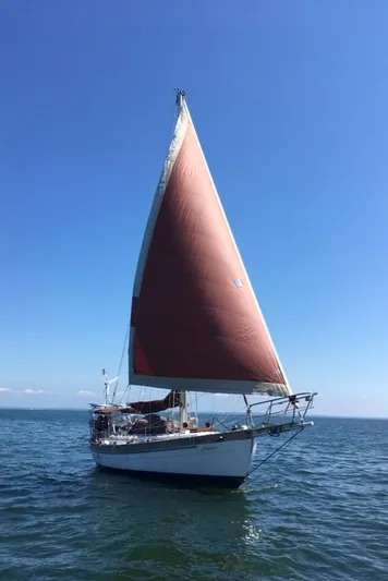 Dragon Fly Yacht Photos Pics 