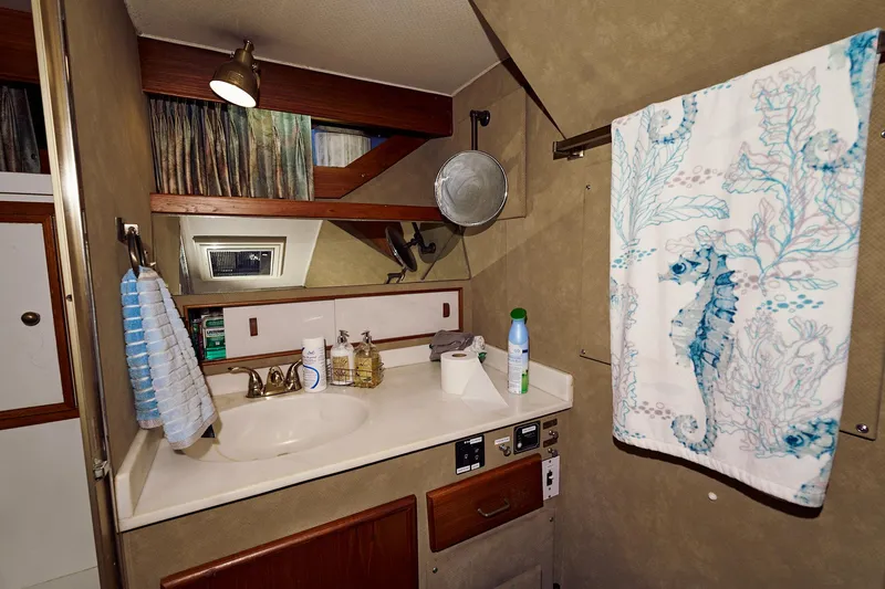 Camelot Yacht Photos Pics 1976 Pacemaker 65 bathroom with sink, mirror, and seahorse-themed towel.