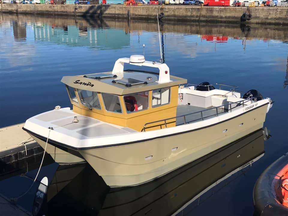 cougar catamaran 8m for sale