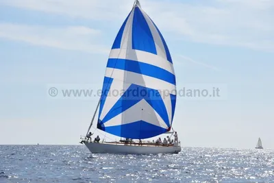 1975 Marchi Sciarrelli 47