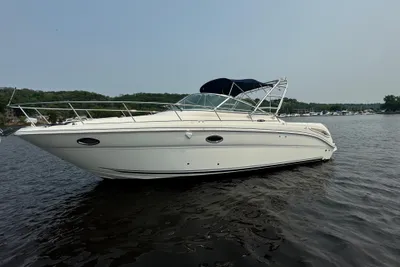 Sea Ray 290 Amberjack