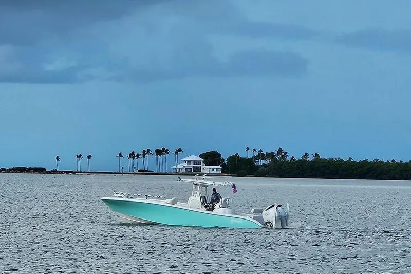  Yacht Photos Pics 2002 Yellowfin 31 Center Console boat on calm waters near palm-lined shore.