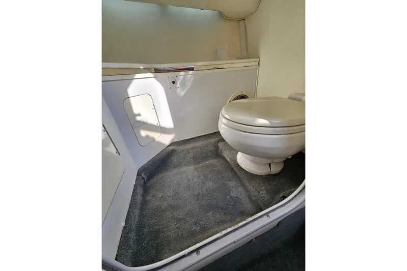 Yacht Photos Pics 2004 Fountain 42 Lightning boat interior with toilet and carpeted floor.
