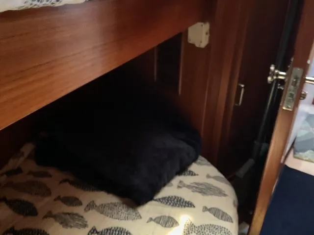 September Dance Yacht Photos Pics 