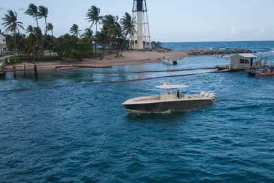Bahama 41