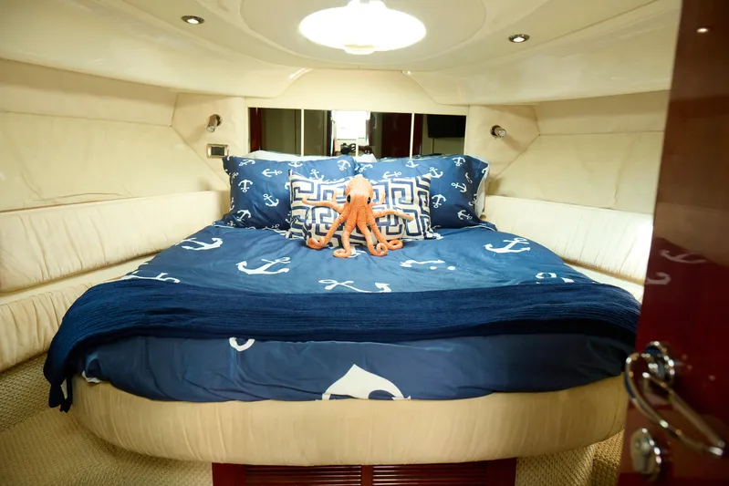 Back Up Plan Yacht Photos Pics Luxurious cabin interior of 2001 Fairline 43 yacht with nautical-themed bedding.