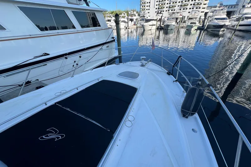  Yacht Photos Pics 2010 Sea Ray 450 Sundancer yacht docked in marina, surrounded by other boats.