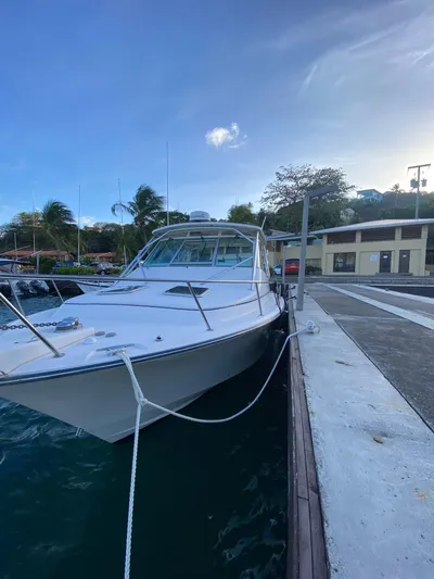 Wic-kid Yacht Photos Pics 