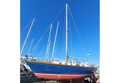 Bristol 38.8