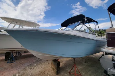 Cobia 220 DC