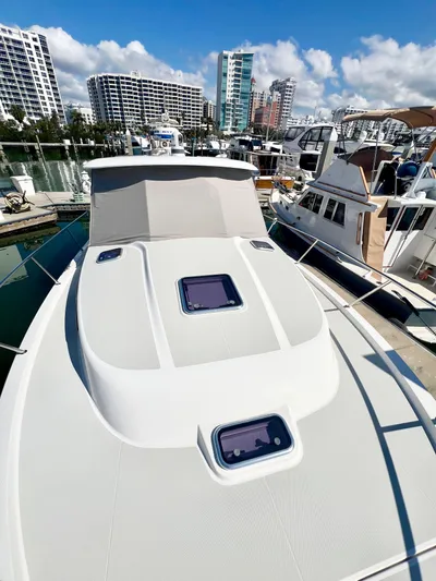 Risk & Reward Yacht Photos Pics 2022 Back Cove 39O yacht docked in a marina with cityscape background.