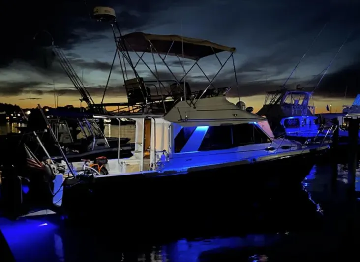 Elaine Hope Yacht Photos Pics 