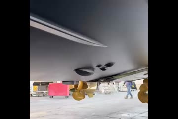 Video Placeholder