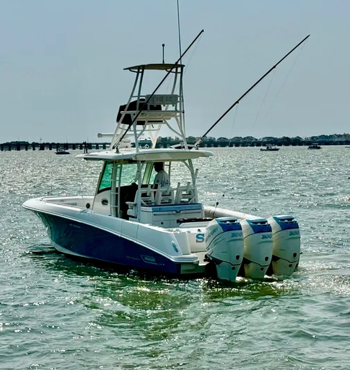 Sea W Yacht Photos Pics 