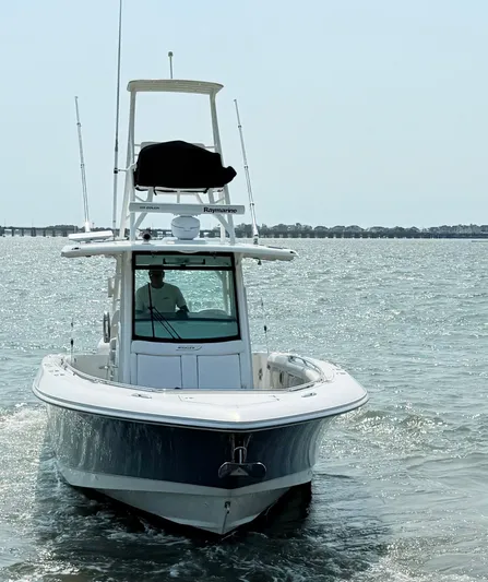 Sea W Yacht Photos Pics 