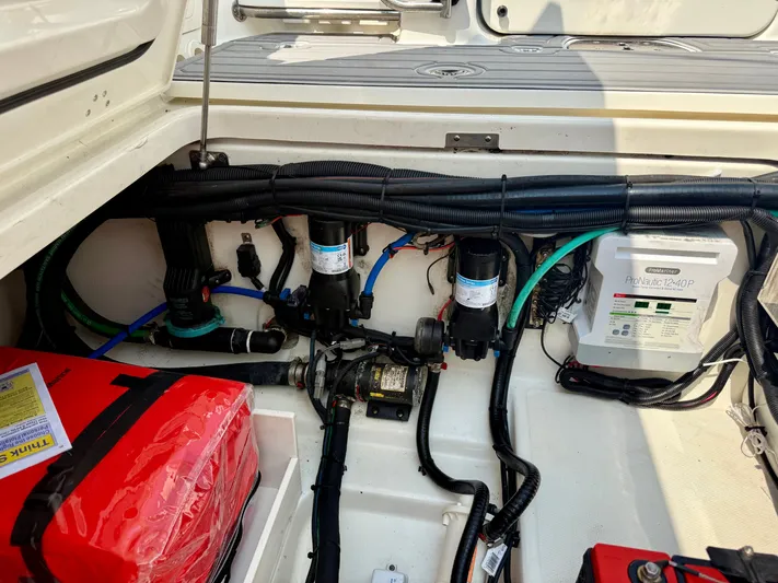 Sea W Yacht Photos Pics 