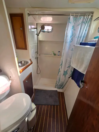 Alacrity Yacht Photos Pics 2009 Fusion 40 yacht bathroom with shower, sink, and nautical decor.