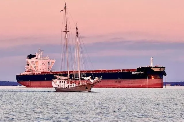 Dauntless Yacht Photos Pics Custom 1989 Schooner Live aboard sailing near large cargo ship at sunset.