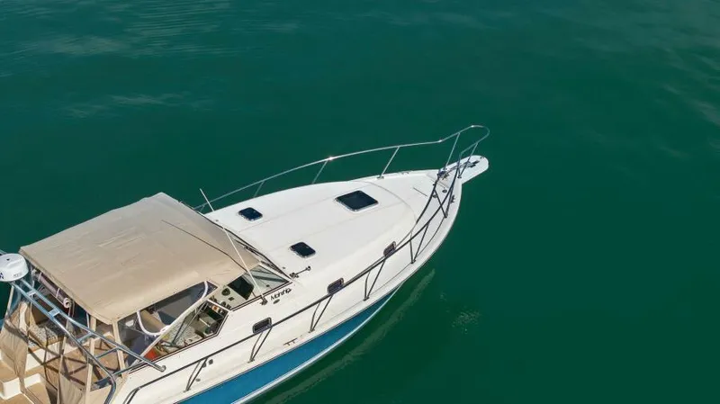 Whattakeeper Yacht Photos Pics 2006 Mainship 34 Rum Runner II cruising on calm, green waters.