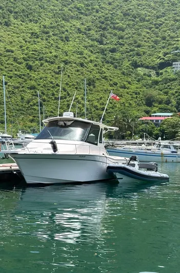  Yacht Photos Pics 2013 Grady-White Express 330 boat docked in a scenic marina.