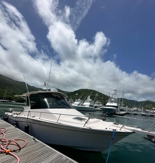  Yacht Photos Pics 2013 Grady-White Express 330 docked in a scenic marina.