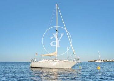 Furia 33