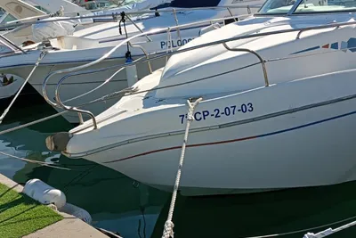 2003 Custom lema gold i