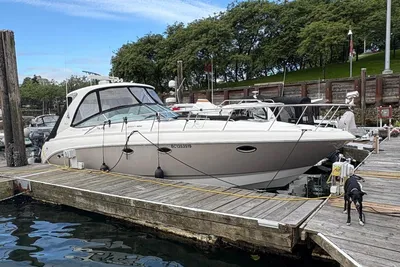 Chaparral Signature 350