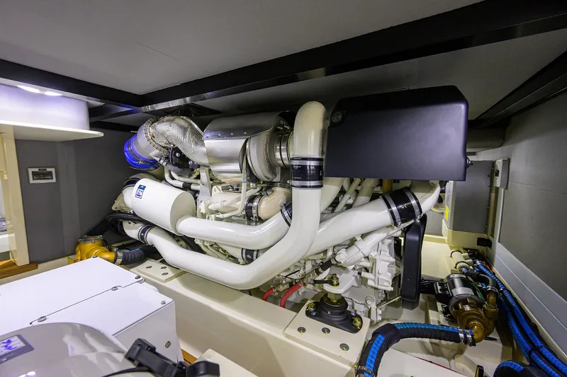 Nauti Dog Yacht Photos Pics 