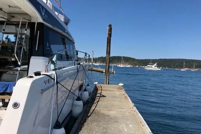 Sweet & Salty Yacht Photos Pics 2019 Jeanneau Velasco 37F yacht docked at a serene marina under clear blue skies.