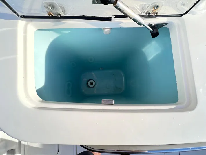  Yacht Photos Pics Livewell