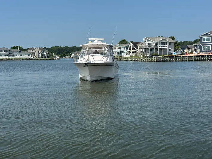 Short N' Girthy Yacht Photos Pics 