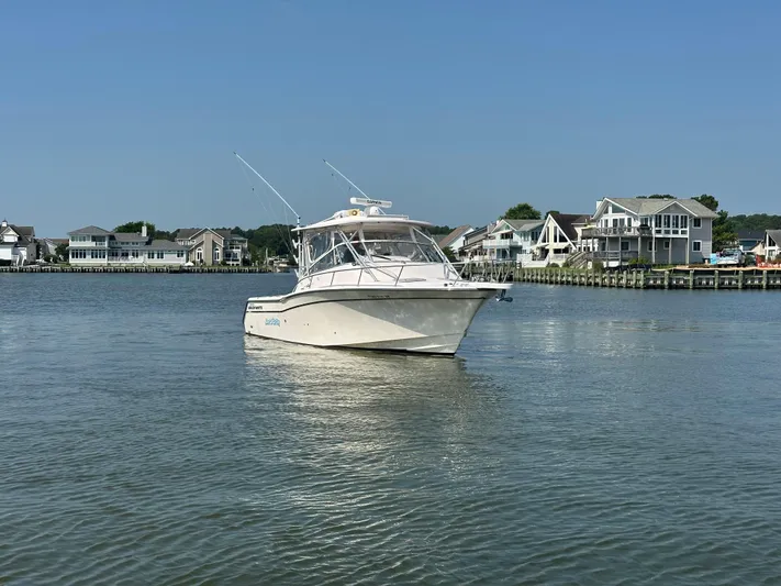 Short N' Girthy Yacht Photos Pics 