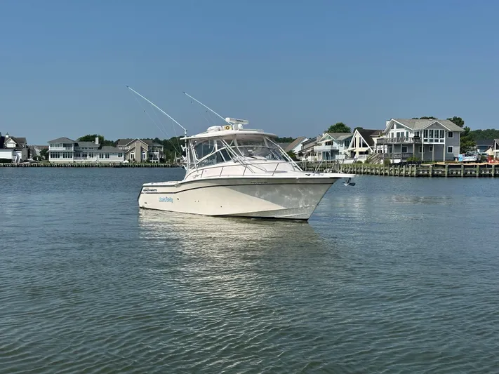 Short N' Girthy Yacht Photos Pics 