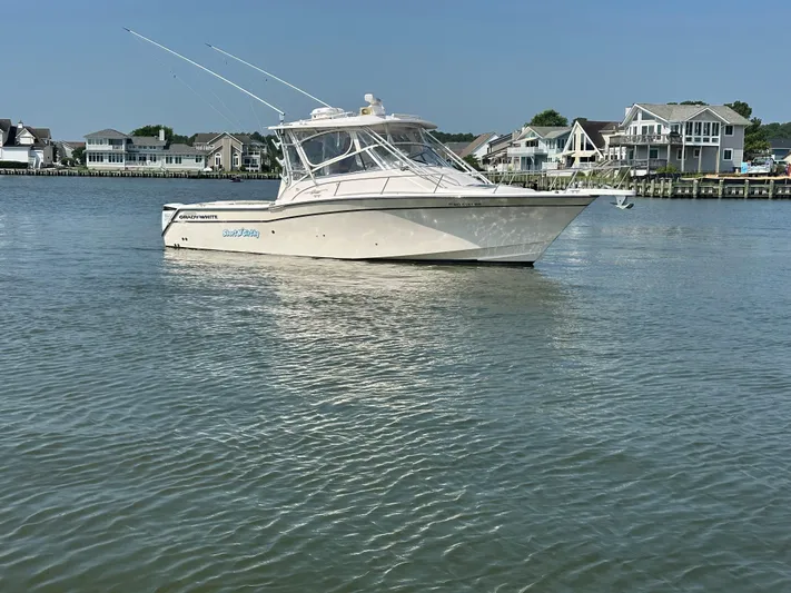 Short N' Girthy Yacht Photos Pics 