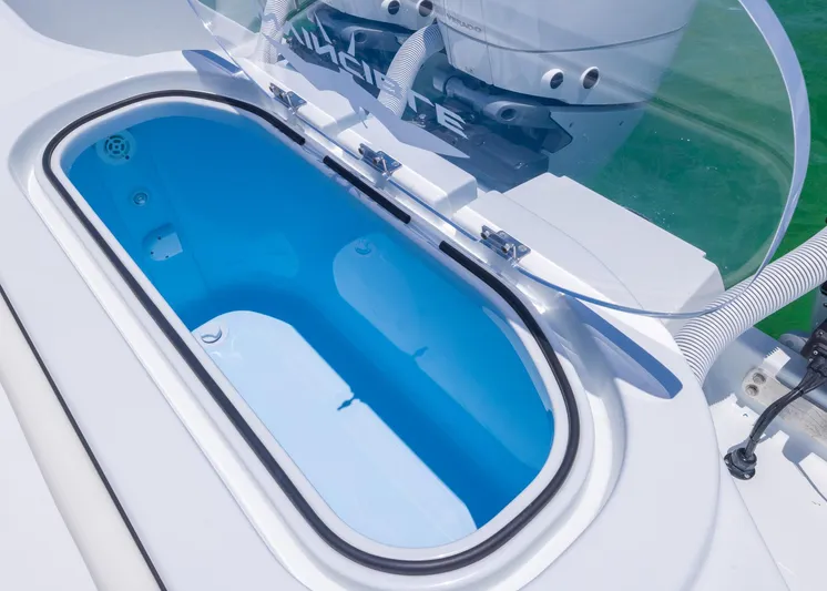  Yacht Photos Pics Open livewell on 2026 Invincible 38 Catamaran, showcasing blue interior and clear lid.