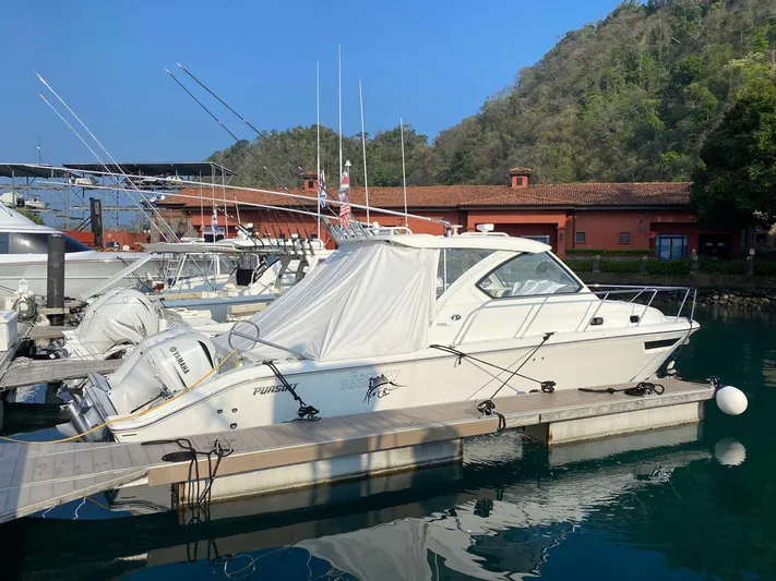 Recovery Room Yacht Photos Pics 2020 Pursuit OS 325 Offshore boat docked at marina with scenic background.