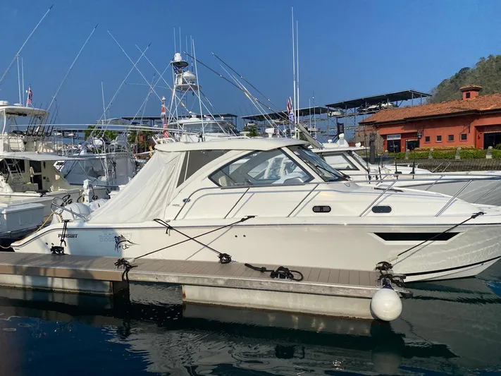 Recovery Room Yacht Photos Pics 2020 Pursuit OS 325 Offshore boat docked at marina, clear blue sky background.