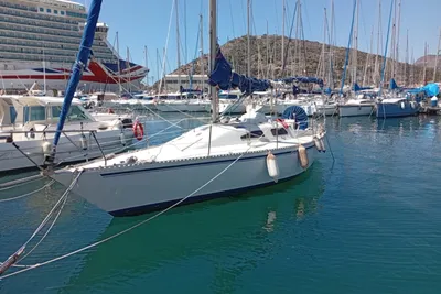 1980 Custom Dione 98